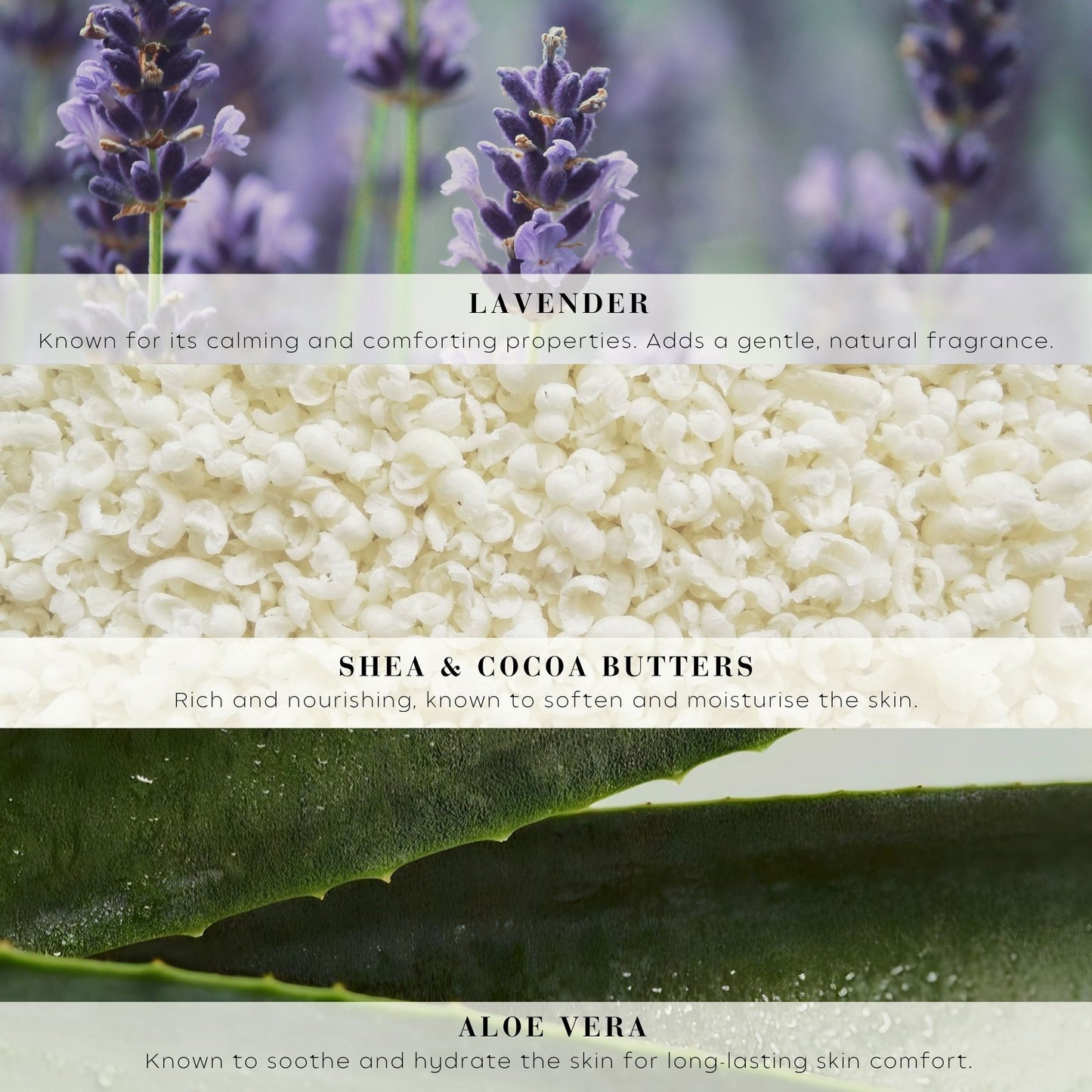 Wiberg's Lavender Hand Care Duo