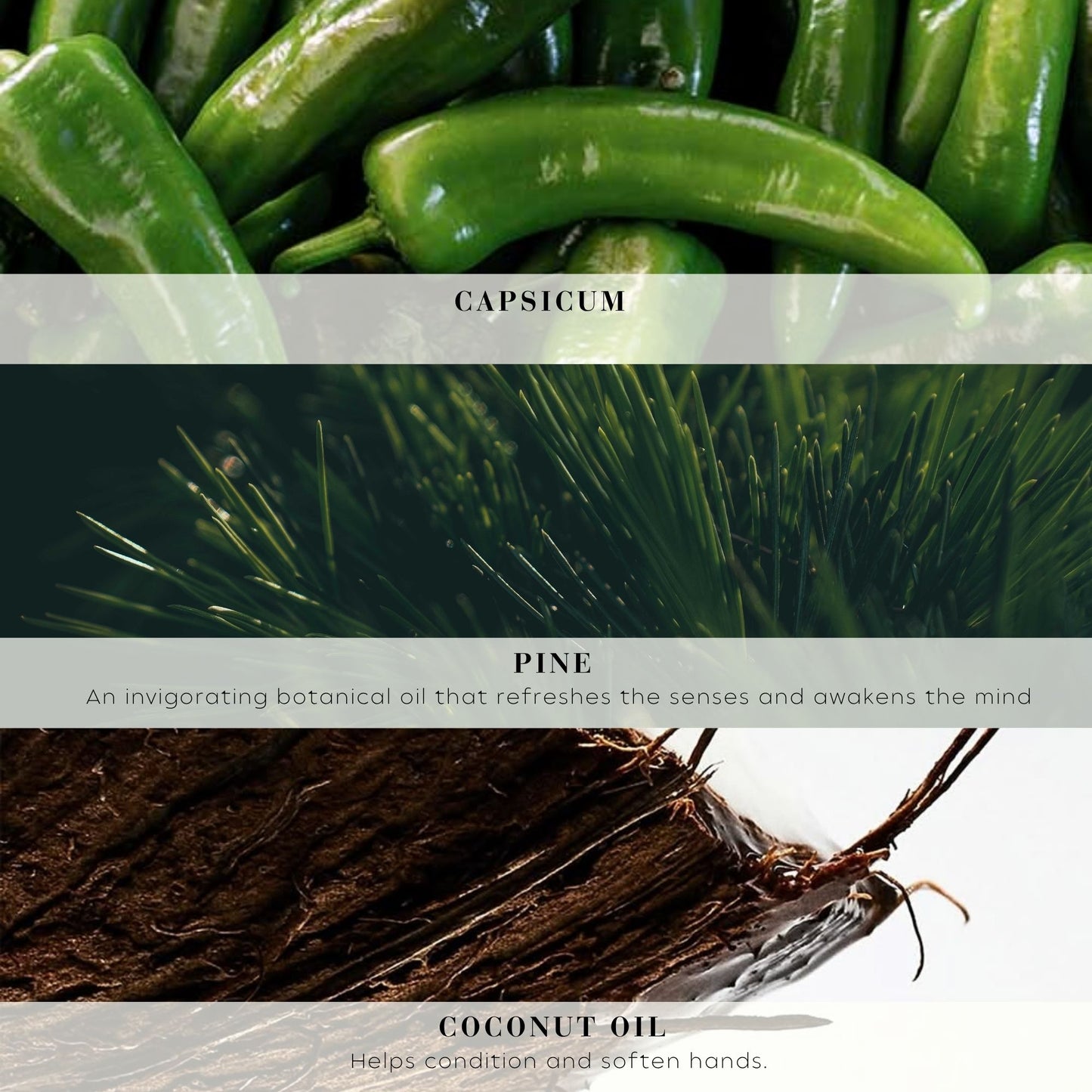 Wiberg's Pine Hand Wash