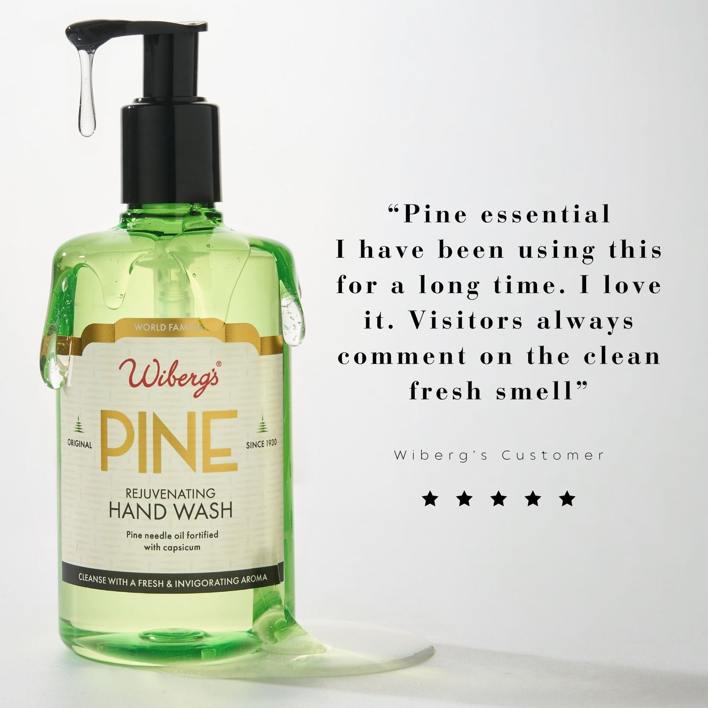 Wiberg's Pine Hand Wash