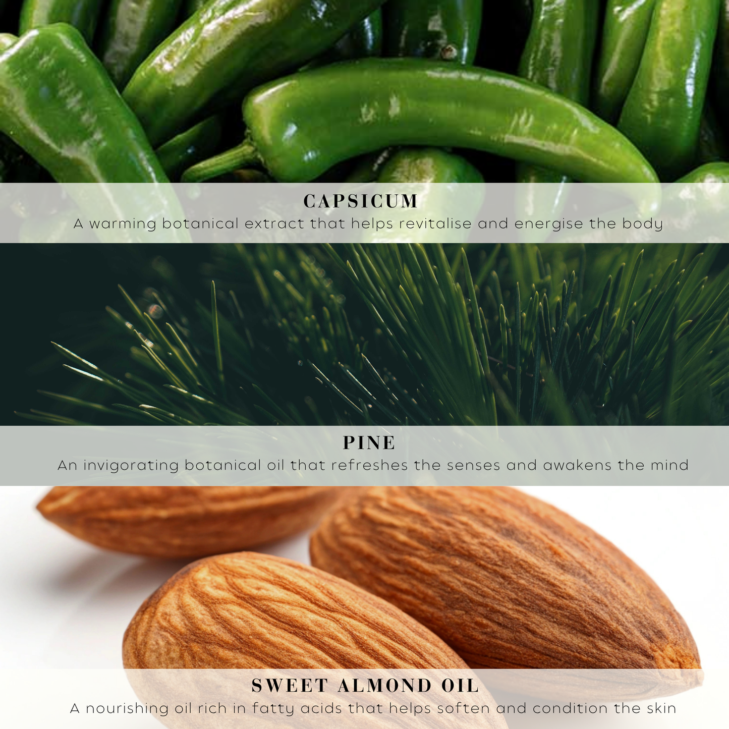 Wiberg’s Pine Rejuvenating Bath & Shower Oil