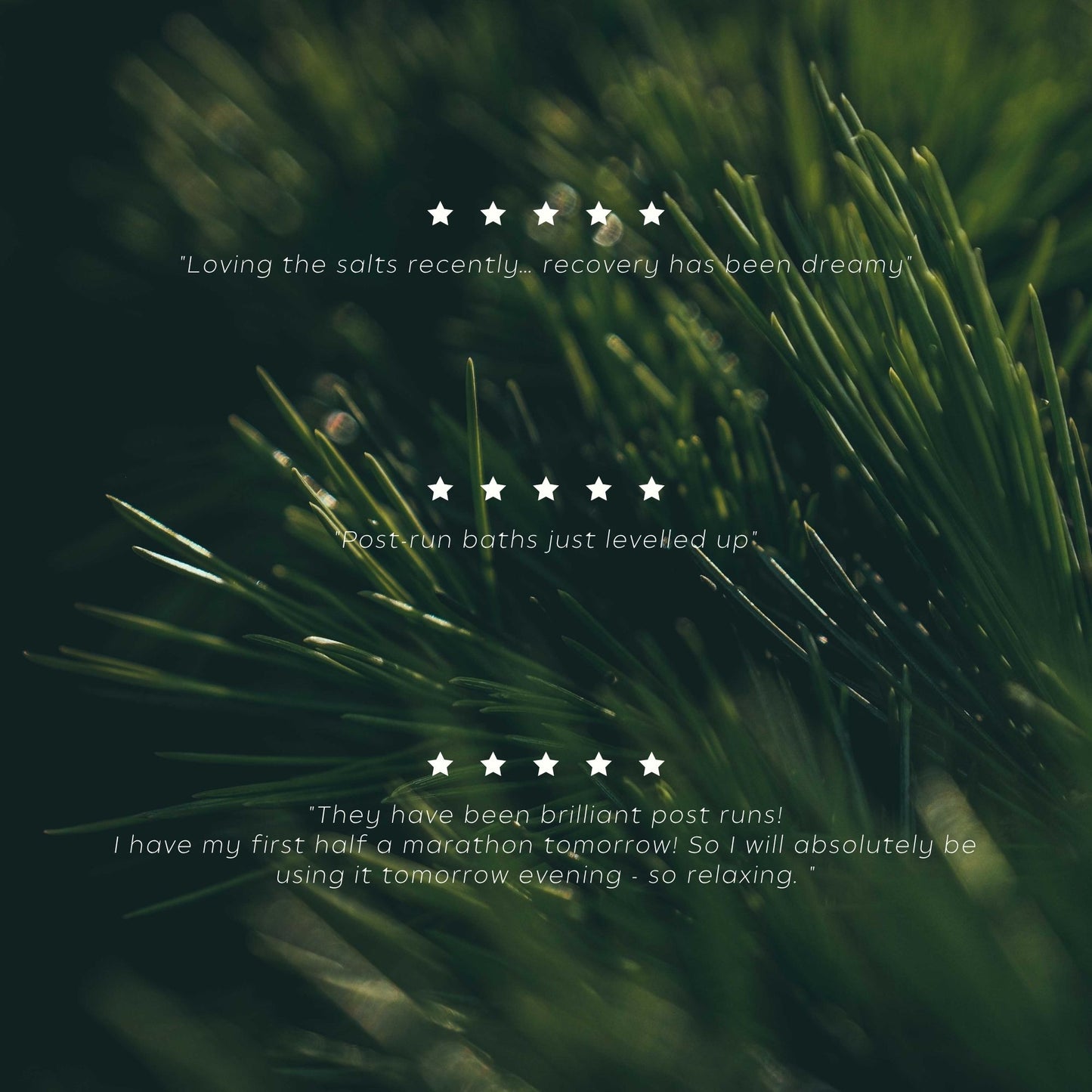 Wiberg's Pine Recovery Ritual